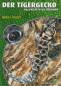 Preview: Der Tigergecko